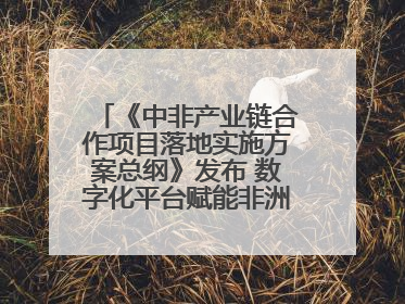 《中非产业链合作项目落地实施方案总纲》发布 数字化平台赋能非洲发展驶入快车道