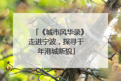 《城市风华录》走进宁波，探寻千年港城新貌