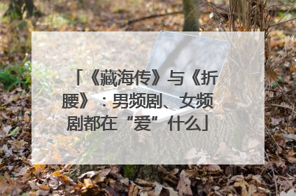 《藏海传》与《折腰》：男频剧、女频剧都在“爱”什么
