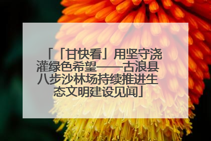 「甘快看」用坚守浇灌绿色希望——古浪县八步沙林场持续推进生态文明建设见闻