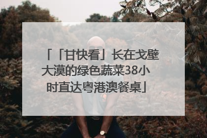 「甘快看」长在戈壁大漠的绿色蔬菜38小时直达粤港澳餐桌