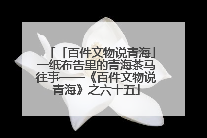 「百件文物说青海」一纸布告里的青海茶马往事——《百件文物说青海》之六十五