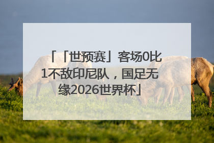 「世预赛」客场0比1不敌印尼队，国足无缘2026世界杯