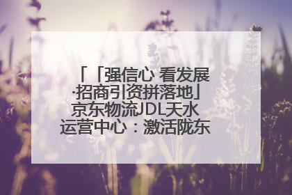 「强信心 看发展·招商引资拼落地」京东物流JDL天水运营中心：激活陇东南区域经济新引擎