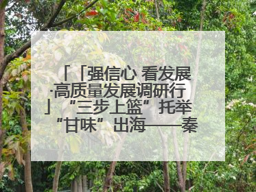 「强信心 看发展·高质量发展调研行」“三步上篮”托举“甘味”出海——秦州大樱桃高质量发展动作分解