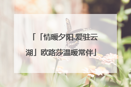 「情暖夕阳.爱驻云湖」欧路莎温暖常伴