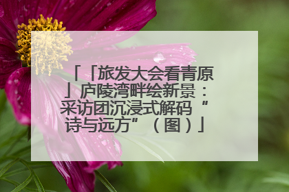 「旅发大会看青原」庐陵湾畔绘新景：采访团沉浸式解码“诗与远方”（图）