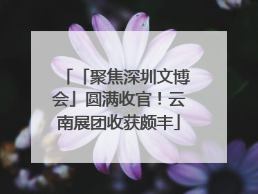 「聚焦深圳文博会」圆满收官！云南展团收获颇丰