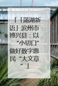 「蒲湖新语」滨州市博兴县：以“小切口”做好数字惠民“大文章”