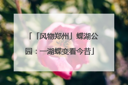 「风物郑州」蝶湖公园：一湖蝶变看今昔