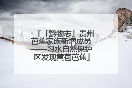 「黔物志」贵州芭蕉家族新增成员——习水自然保护区发现黄苞芭蕉