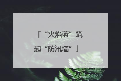 “火焰蓝”筑起“防汛墙”
