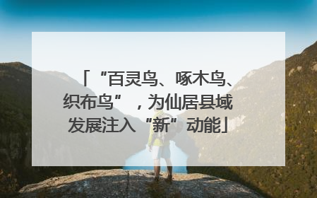 “百灵鸟、啄木鸟、织布鸟”，为仙居县域发展注入“新”动能