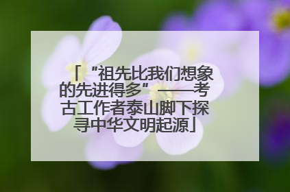 “祖先比我们想象的先进得多”——考古工作者泰山脚下探寻中华文明起源
