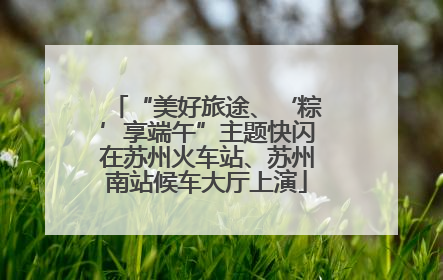 “美好旅途、‘粽’享端午”主题快闪在苏州火车站、苏州南站候车大厅上演