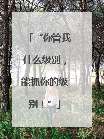 “你管我什么级别，能抓你的级别！”