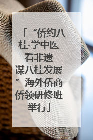 “侨约八桂·学中医 看非遗 谋八桂发展”海外侨商侨领研修班举行