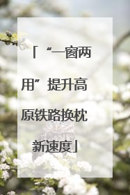“一窗两用”提升高原铁路换枕新速度