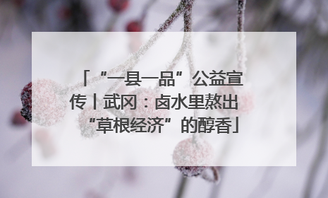 “一县一品”公益宣传丨武冈：卤水里熬出“草根经济”的醇香