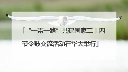 “一带一路”共建国家二十四节令鼓交流活动在华大举行