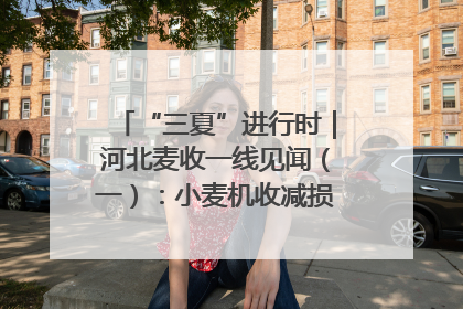 “三夏”进行时｜河北麦收一线见闻（一）：小麦机收减损“竞技” 农机高手麦田“过招”