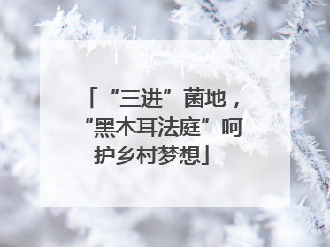 “三进”菌地，“黑木耳法庭”呵护乡村梦想