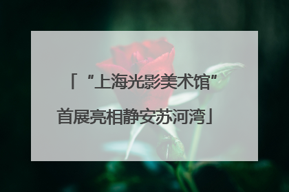 “上海光影美术馆”首展亮相静安苏河湾