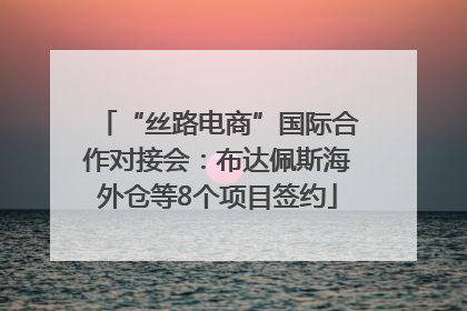 “丝路电商”国际合作对接会：布达佩斯海外仓等8个项目签约