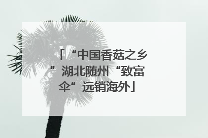 “中国香菇之乡”湖北随州“致富伞”远销海外