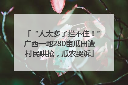 “人太多了拦不住！”广西一地280亩瓜田遭村民哄抢，瓜农哭诉