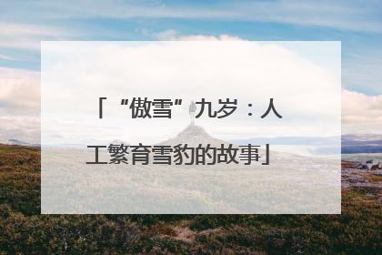 “傲雪”九岁：人工繁育雪豹的故事