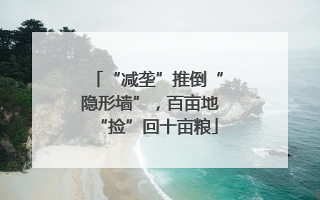 “减垄”推倒“隐形墙”，百亩地“捡”回十亩粮