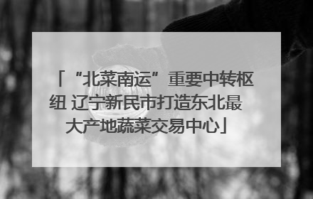 “北菜南运”重要中转枢纽 辽宁新民市打造东北最大产地蔬菜交易中心