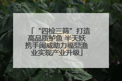 “四检三筛”打造高品质鲈鱼 半天妖携手闽威助力福鼎渔业实现产业升级