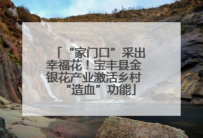 “家门口”采出幸福花！宝丰县金银花产业激活乡村“造血”功能