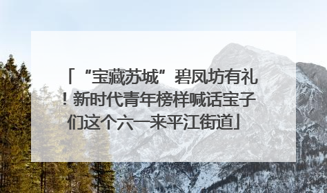 “宝藏苏城”碧凤坊有礼！新时代青年榜样喊话宝子们这个六一来平江街道