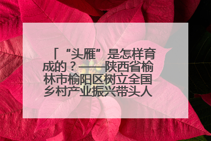 “头雁”是怎样育成的？——陕西省榆林市榆阳区树立全国乡村产业振兴带头人培育标杆