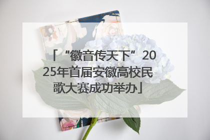 “徽音传天下”2025年首届安徽高校民歌大赛成功举办
