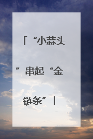 “小蒜头”串起“金链条”