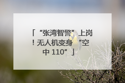 “张湾智警”上岗！无人机变身 “空中 110”
