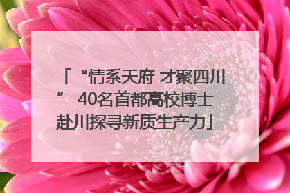 “情系天府 才聚四川” 40名首都高校博士赴川探寻新质生产力
