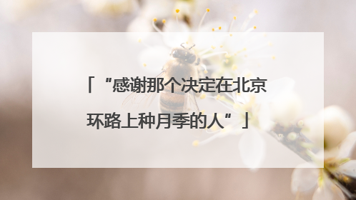 “感谢那个决定在北京环路上种月季的人”