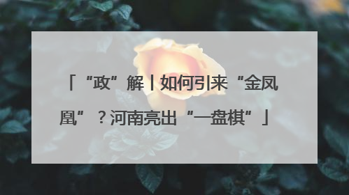 “政”解丨如何引来“金凤凰”？河南亮出“一盘棋”