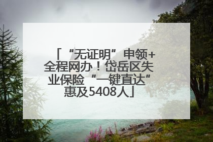 “无证明”申领+全程网办！岱岳区失业保险“一键直达”惠及5408人