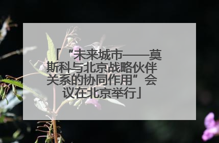 “未来城市——莫斯科与北京战略伙伴关系的协同作用”会议在北京举行