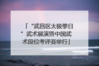 “武昌区太极拳日”武术展演暨中国武术段位考评赛举行