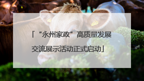“永州家政”高质量发展交流展示活动正式启动