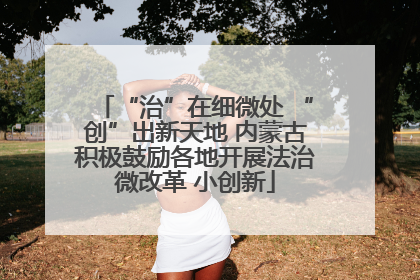 “治”在细微处 “创”出新天地 内蒙古积极鼓励各地开展法治微改革 小创新
