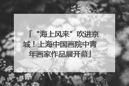 “海上风来”吹进京城！上海中国画院中青年画家作品展开幕