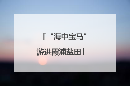 “海中宝马”游进霞浦盐田
